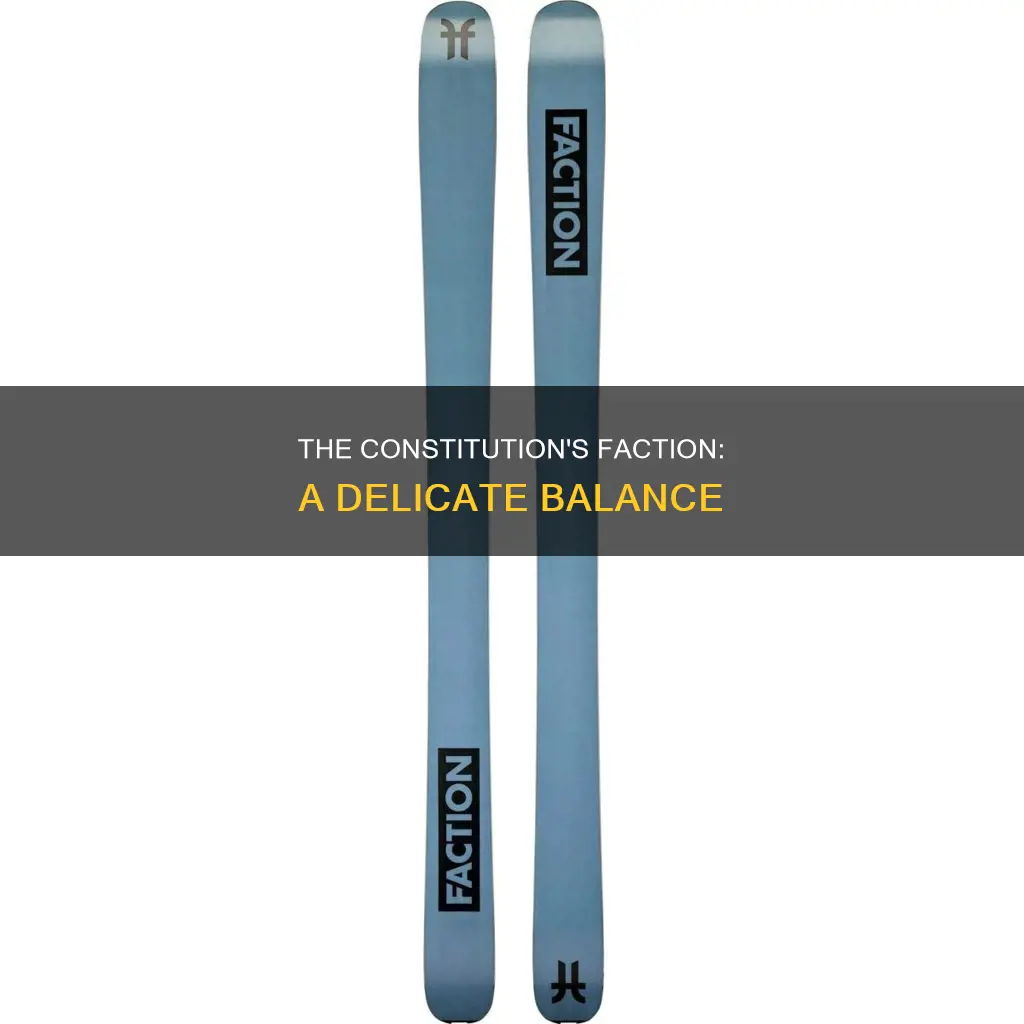 how is faction accounted for in the constitution