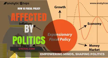 Politics and Fiscal Policy: A Complex Interplay