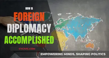 Foreign Diplomacy: Strategies for Global Engagement