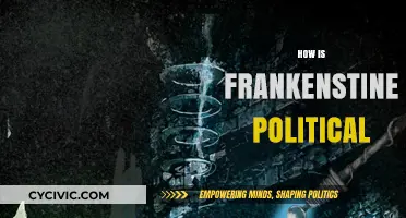 Frankenstein's Political Anatomy: Power, Creation, and Social Responsibility Explored
