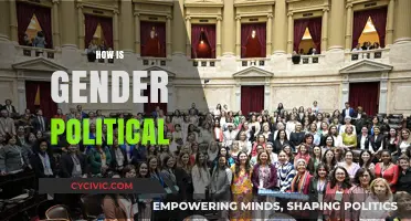Gender as Power: Unraveling the Political Dynamics of Identity and Society