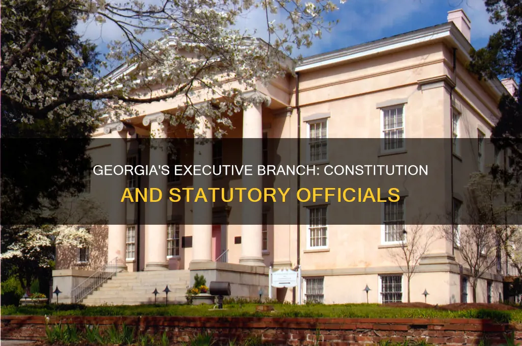 how is georgia executive branch organized constitution and statutory officials