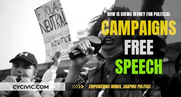 Money Talks: Political Campaign Donations as Free Speech