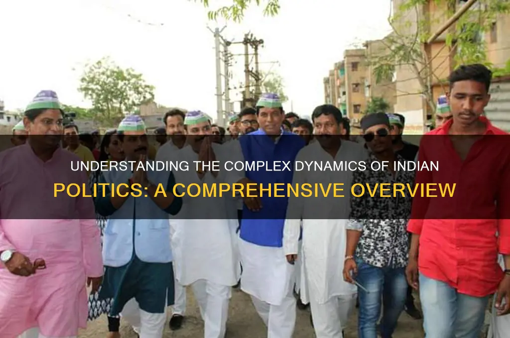 how is indian politics