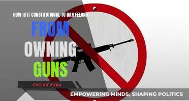 The Right to Bear Arms: Felons and Gun Control