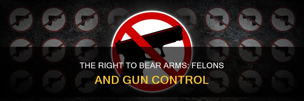 how is it constitutional to ban felons from owning guns