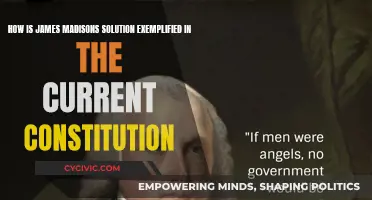 Madison's Vision: The Constitution's Foundation