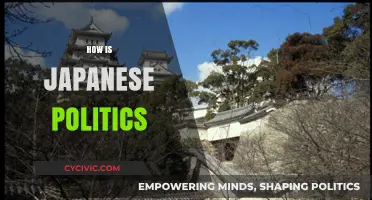 Understanding Japanese Politics: Structure, Culture, and Modern Challenges