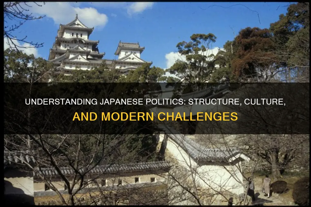 how is japanese politics