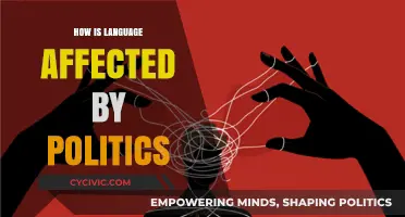 The Intricate Dance: Politics Shaping Language and Vice Versa