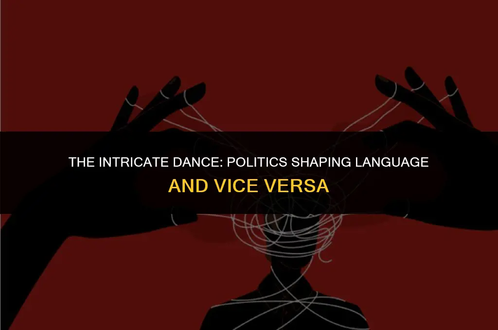 how is language affected by politics
