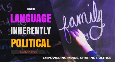 Language, Power, and Politics: Unveiling the Hidden Ideologies in Words