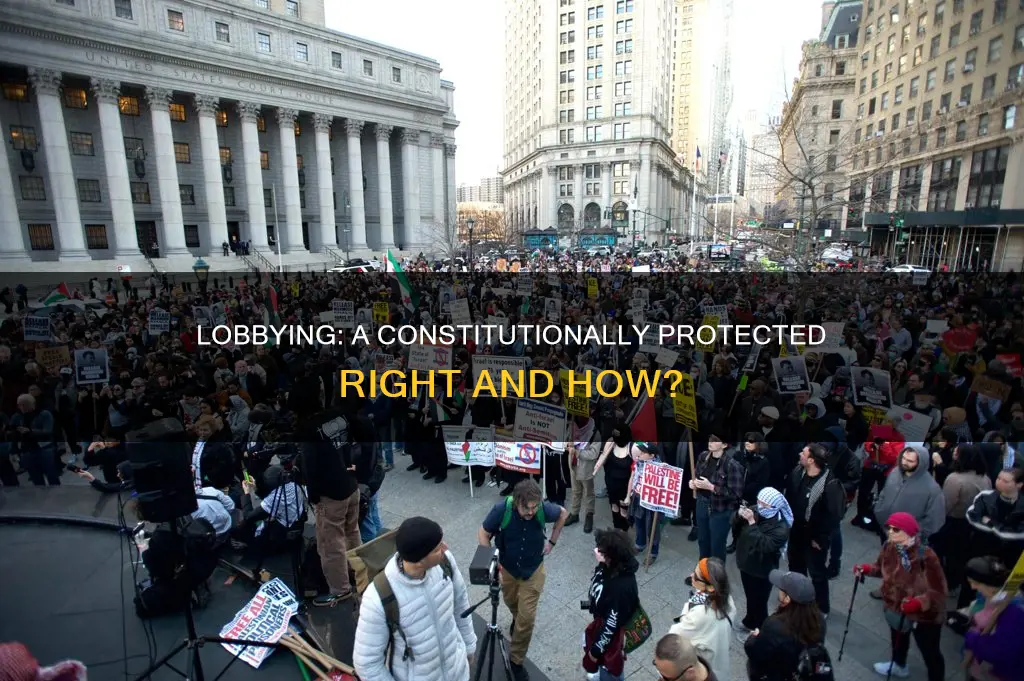 how is lobbying constitutionally protected