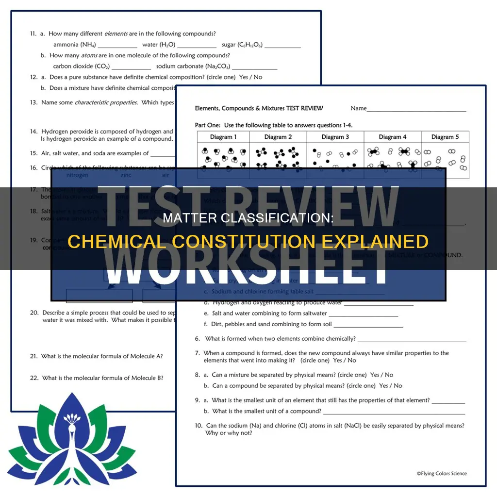 how is matter classified on the basis of chemical constitution