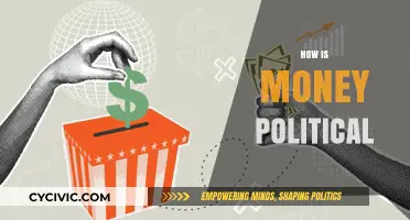 Money's Power in Politics: Influence, Lobbying, and Hidden Agendas