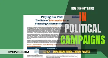 Political Campaign Funding: Where Does the Money Come From?