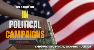 Money's Role in Political Campaigns: Strategies and Influence
