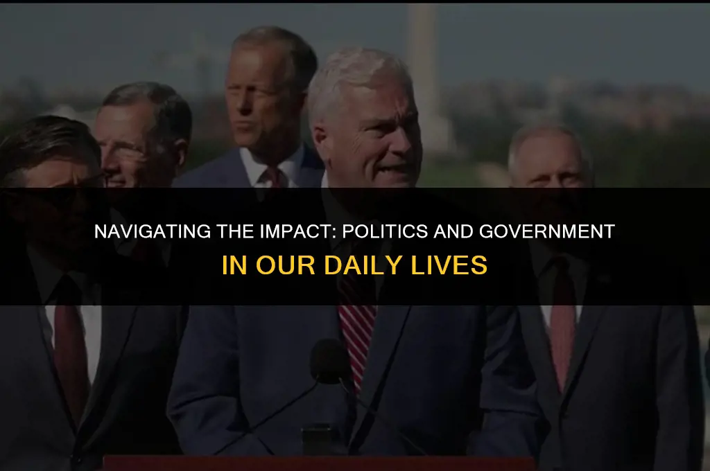 how is our lives affected by politics and government