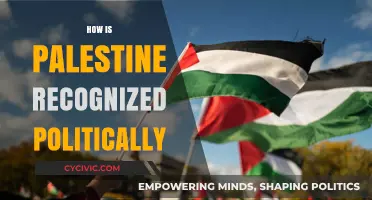 Palestine's Political Recognition: Global Status, Challenges, and Diplomatic Realities