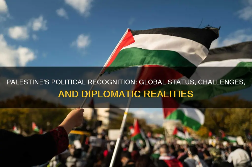 how is palestine recognized politically