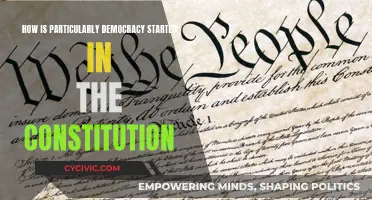 The Constitution's Democratic Roots Explored