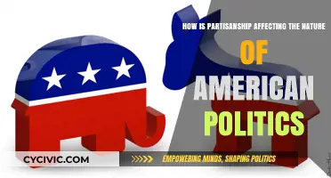 Divided We Stand: Partisanship's Impact on American Politics
