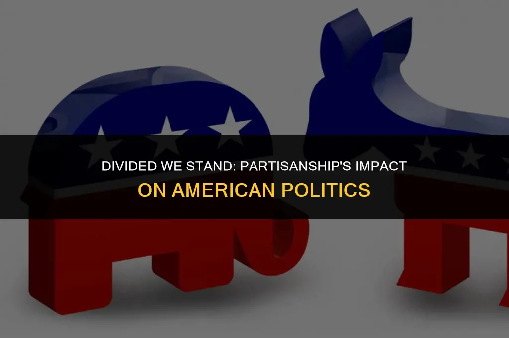 how is partisanship affecting the nature of american politics