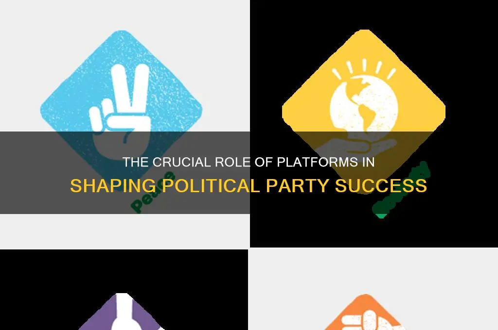 how is platform important to a political party