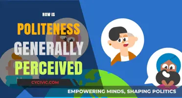 Understanding Politeness: Global Perceptions and Cultural Interpretations of Courtesy