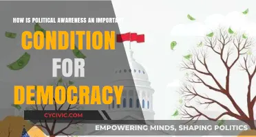 Democracy's Foundation: The Imperative of Political Awareness