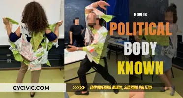 Understanding the Political Body: Identity, Recognition, and Public Perception