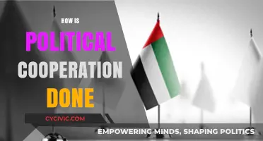 Understanding Political Cooperation: Strategies, Challenges, and Global Partnerships