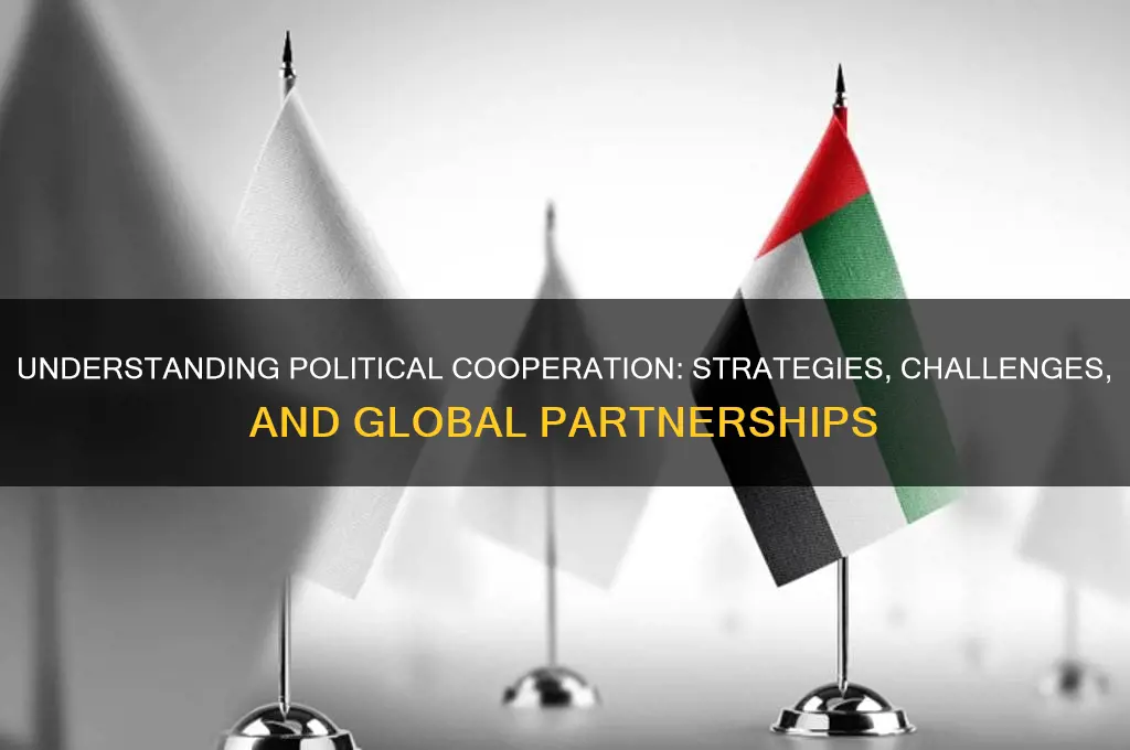 how is political cooperation done