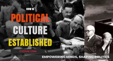 Shaping Political Culture: Origins, Influences, and Societal Foundations Explored