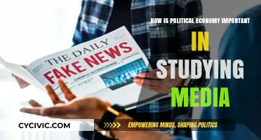 Media Lens: Unveiling Power Dynamics Through Political Economy