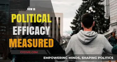 Measuring Political Efficacy: Methods, Metrics, and Real-World Applications