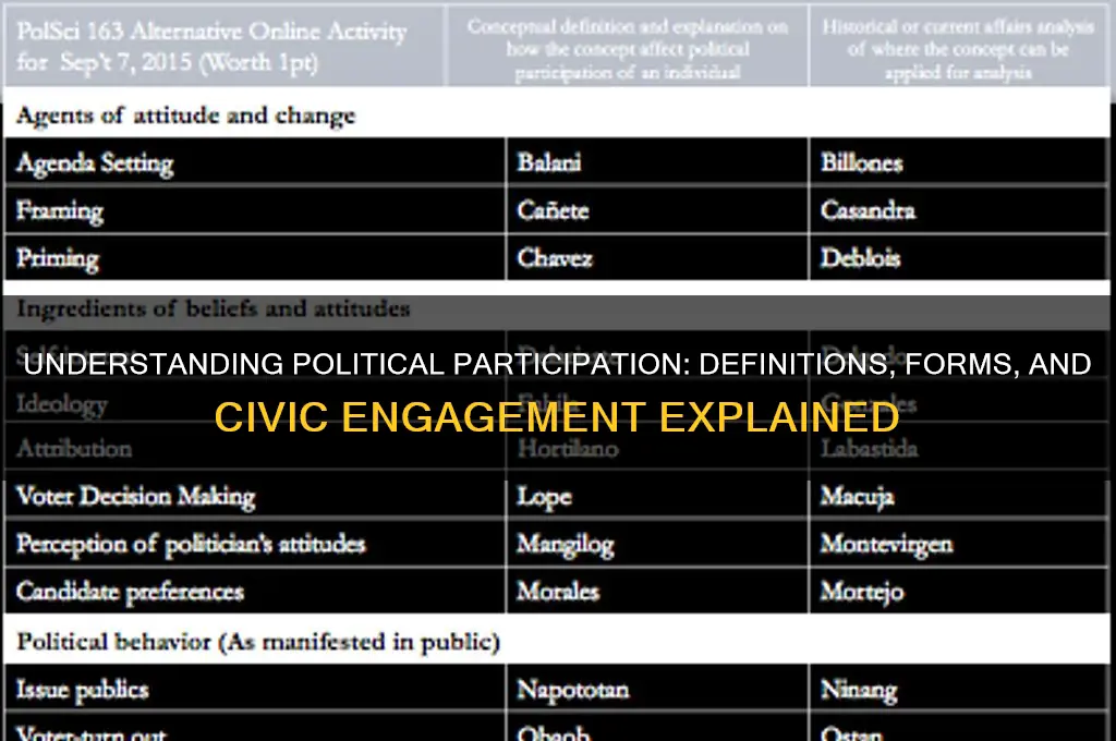 how is political participation defined