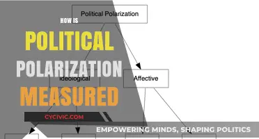 Measuring Political Polarization: Methods, Metrics, and Real-World Applications