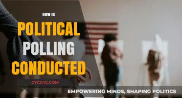 Understanding Political Polling: Methods, Accuracy, and Real-World Applications