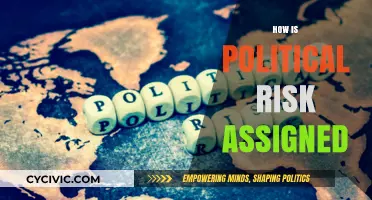 Understanding Political Risk Assessment: Methods and Factors in Global Markets