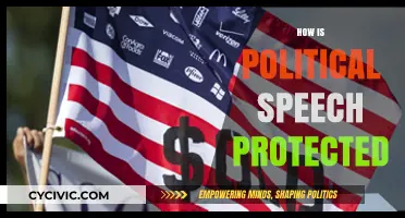 Understanding Free Speech: How Political Expression is Legally Protected