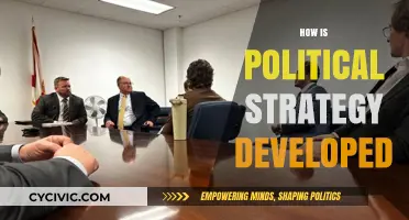 Crafting Political Strategy: Key Steps and Influential Factors Explained