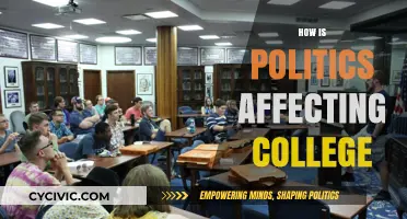 Navigating Turbulent Waters: The Impact of Politics on Higher Education