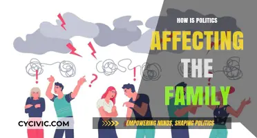 The Impact of Politics on Family Dynamics: A Comprehensive Analysis