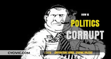 Unveiling Political Corruption: Power, Greed, and Systemic Failures Explored