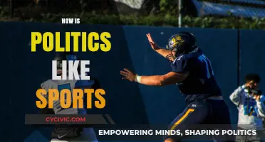 Politics vs. Sports: Rivalries, Strategies, and the Game of Power