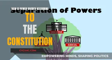 The Constitution's Power Division: A Guide