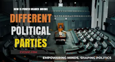 Power Dynamics: How Political Parties Share Influence and Governance