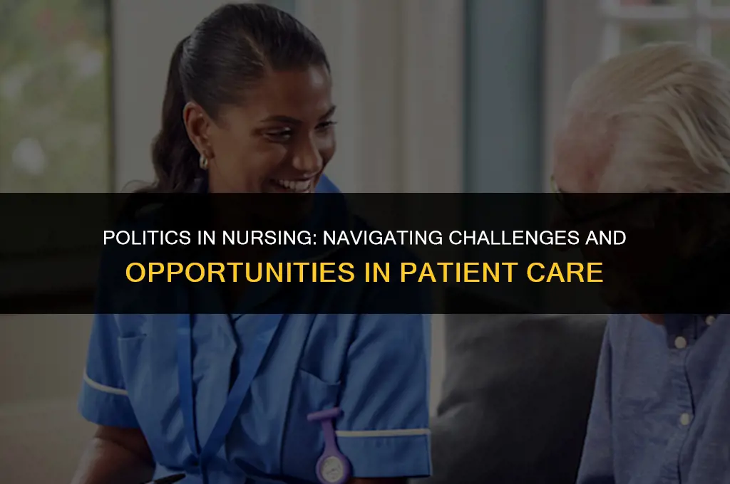 how is professional nursing affected by politics