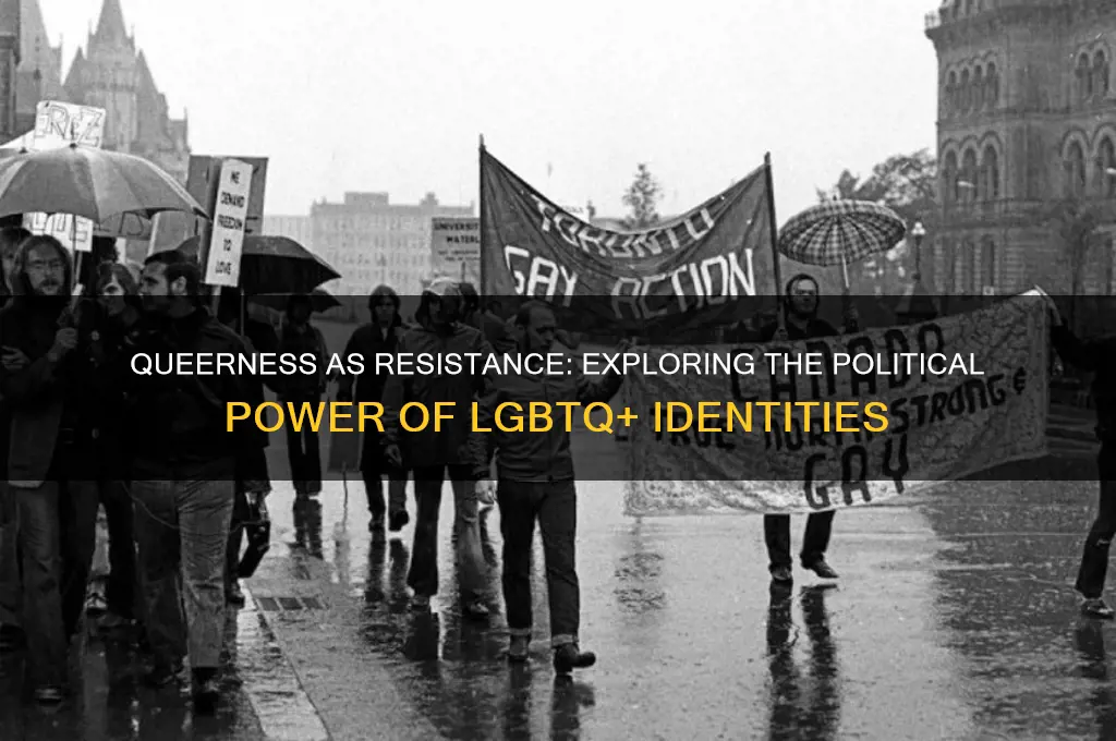 how is queerness political